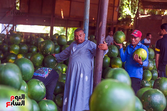 احد بائعى البطيخ احد بائعى البطيخ