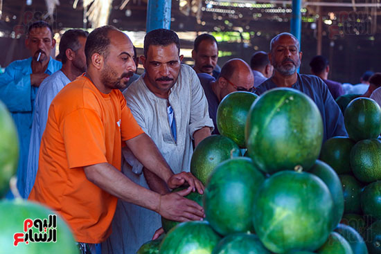 بيع البطيخ بسوق مصر القديمة بيع البطيخ بسوق مصر القديمة