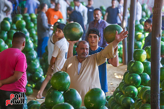 فاكهة الصيف فاكهة الصيف