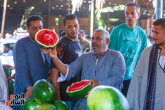عرض البطيخ فى المزاد عرض البطيخ فى المزاد