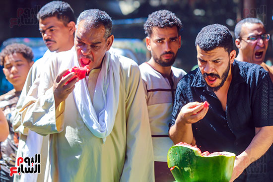 تذوق البطيخ تذوق البطيخ
