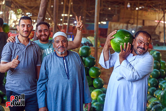 حمل البطيخ المصرى حمل البطيخ المصرى