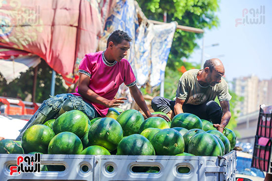 البطيخ بعد تحميله على السيارات البطيخ بعد تحميله على السيارات