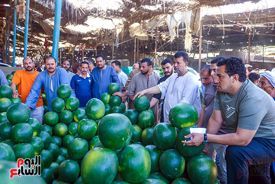 انواع البطيخ المصرى انواع البطيخ المصرى