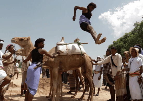 القفز على الجمال القفز على الجمال