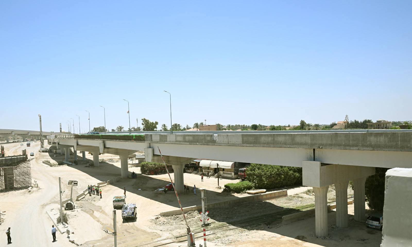 محور عمر سليمان