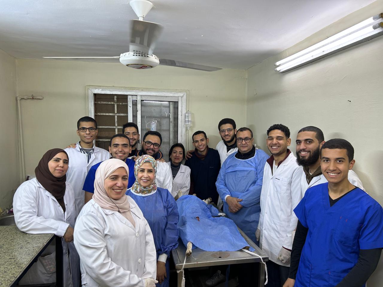 الجيزة تحاصر ظاهرة انتشار الكلاب الضالة (4)