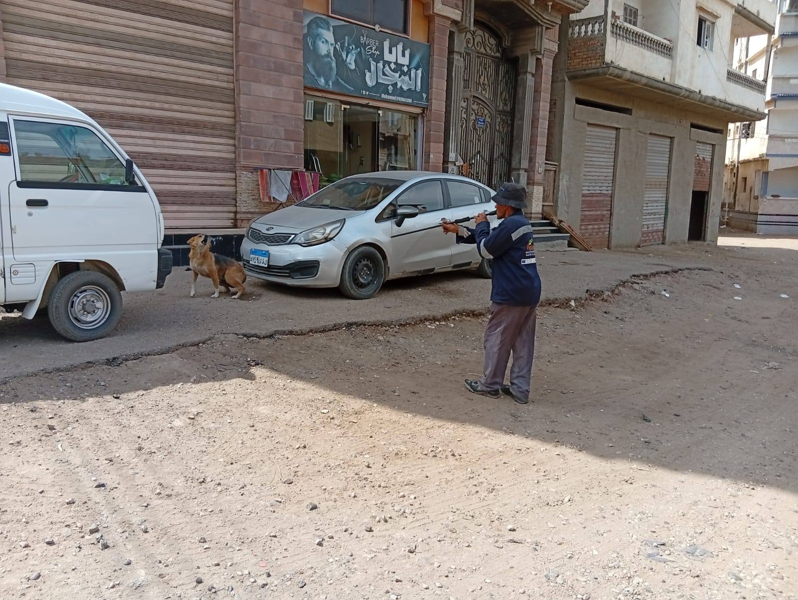 تحصين كلب بمطوبس