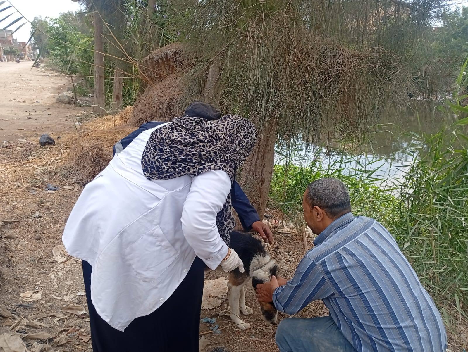 تحصين كلب بقلين_1