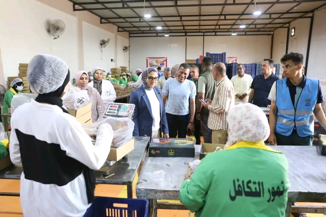 مصنع تمور التكافل الاجتماعي بالوادى الجديد
