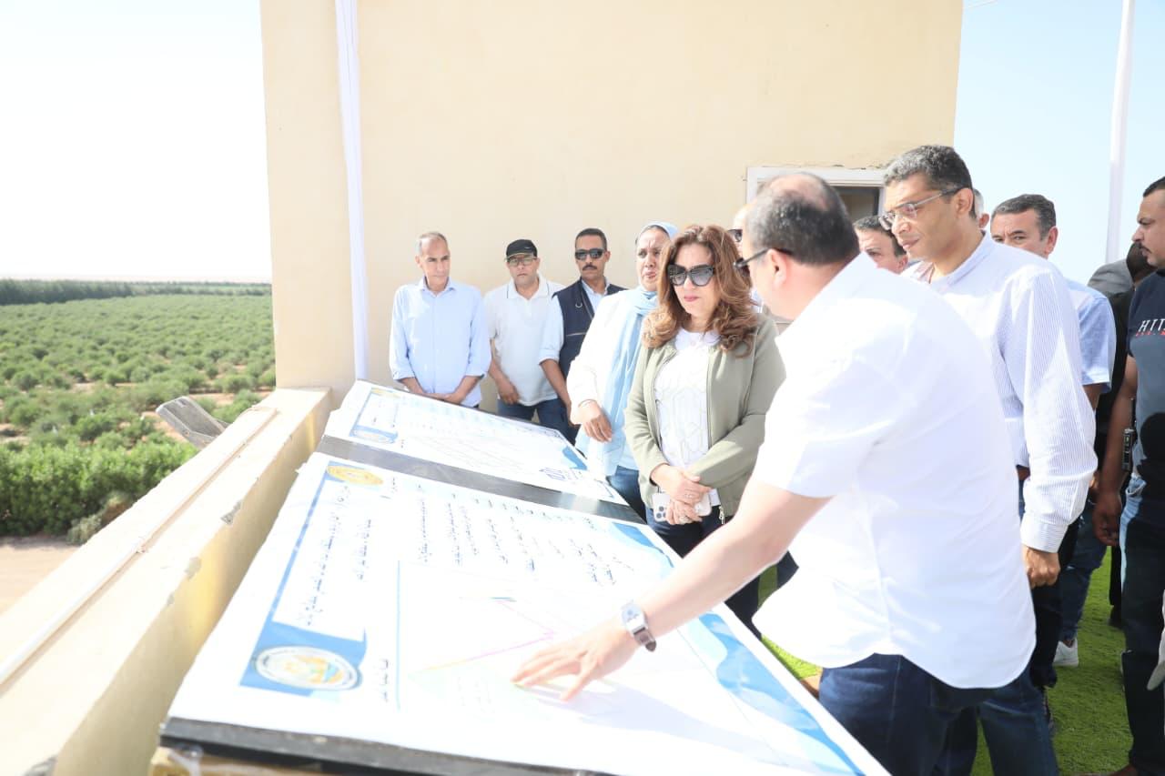 وزيرة البيئة تتفقد مشروع زراعة نبات الجوجوبا بالغردقة