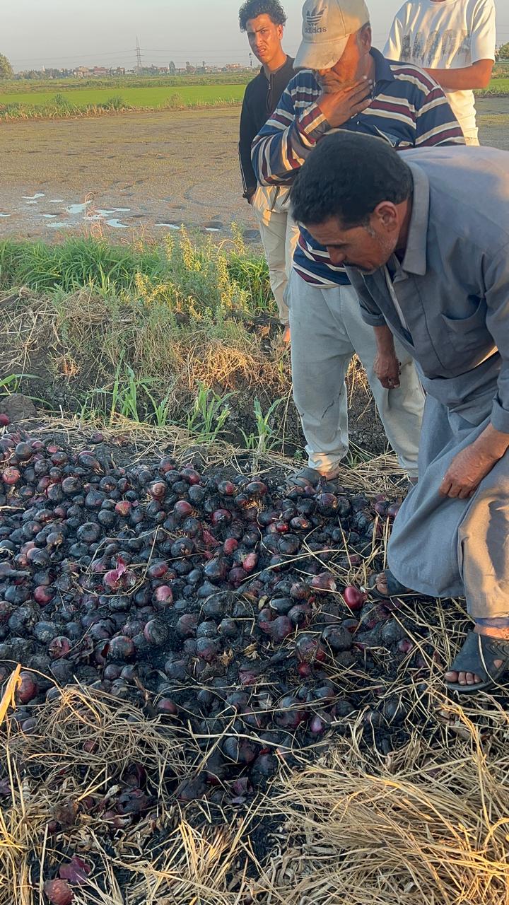 حزن ملاك المحصول بعد الحريق