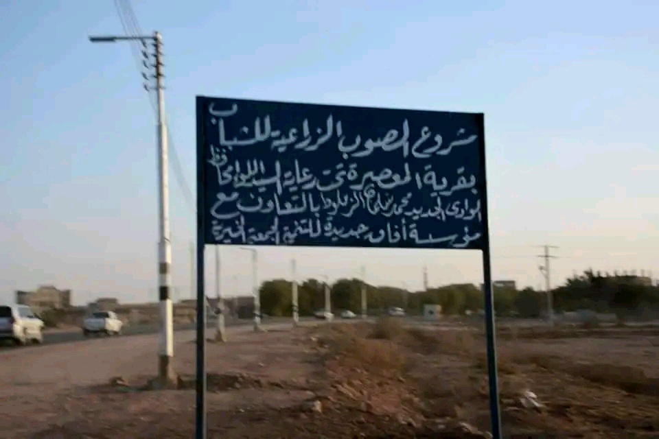 الصوب الزراعية بقرية المعصرة بالداخلة