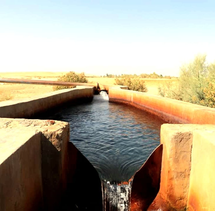 ابار الوادى الجديد الحكومية ابار الوادى الجديد الحكومية