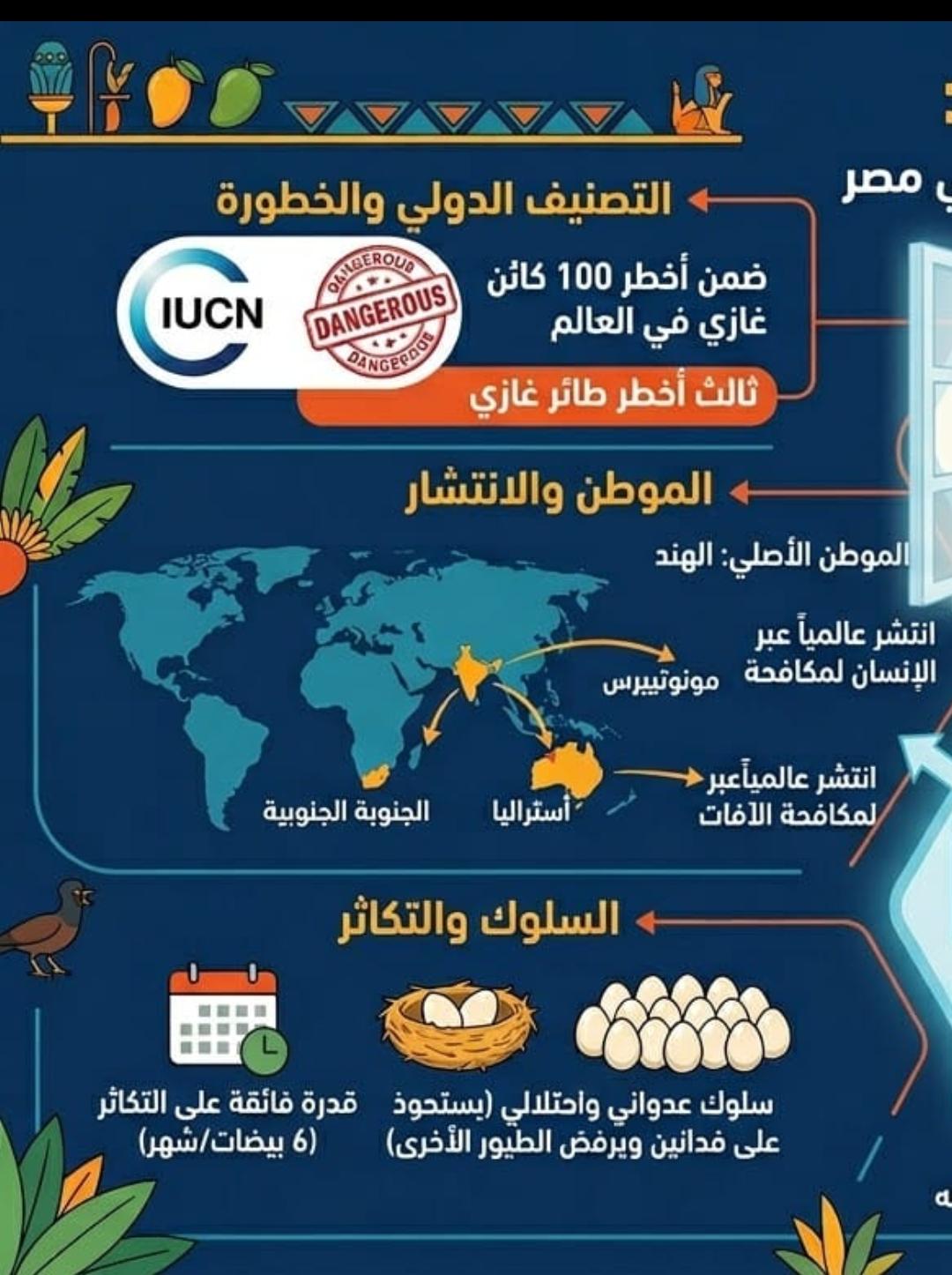التصنيف الدولى