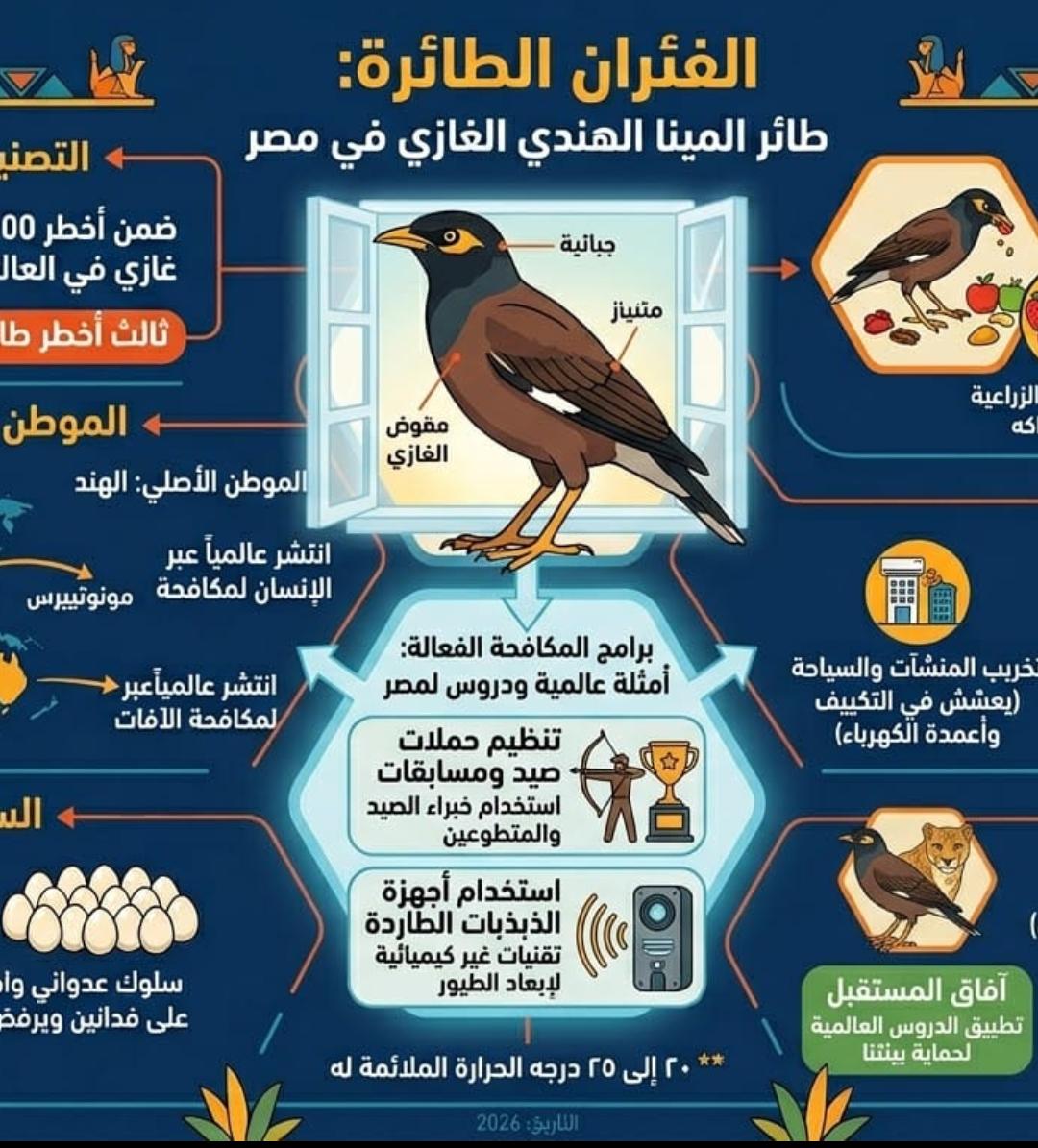 طائر المينا الهندى