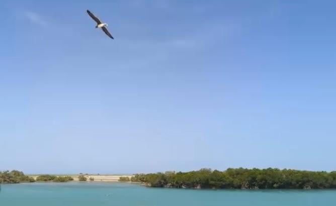 طبيعة خلابة على الشواطئ