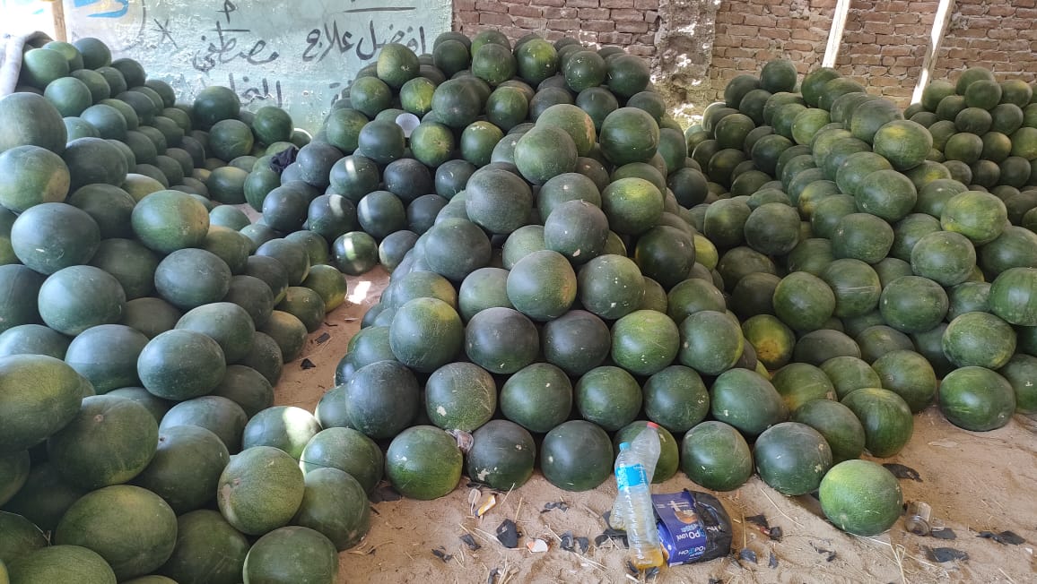 شادر البطيخ