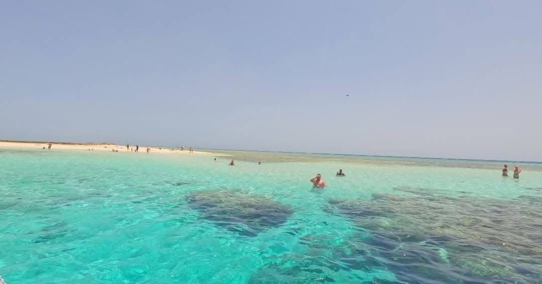 سياح عل. جزيرة شواريت سياح عل. جزيرة شواريت