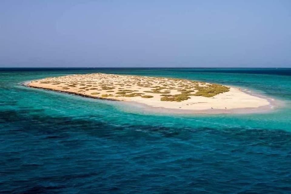 شواريت الساحرة شواريت الساحرة
