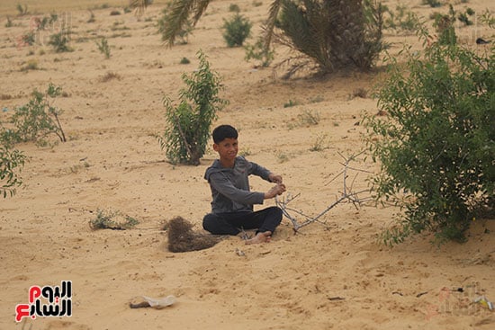 جمع-الحطب-
