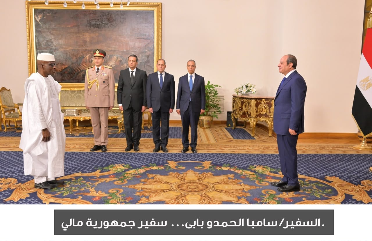 الرئيس السيسى يتسلم اعتماد 17 سفيرًا جديدًا  (11)