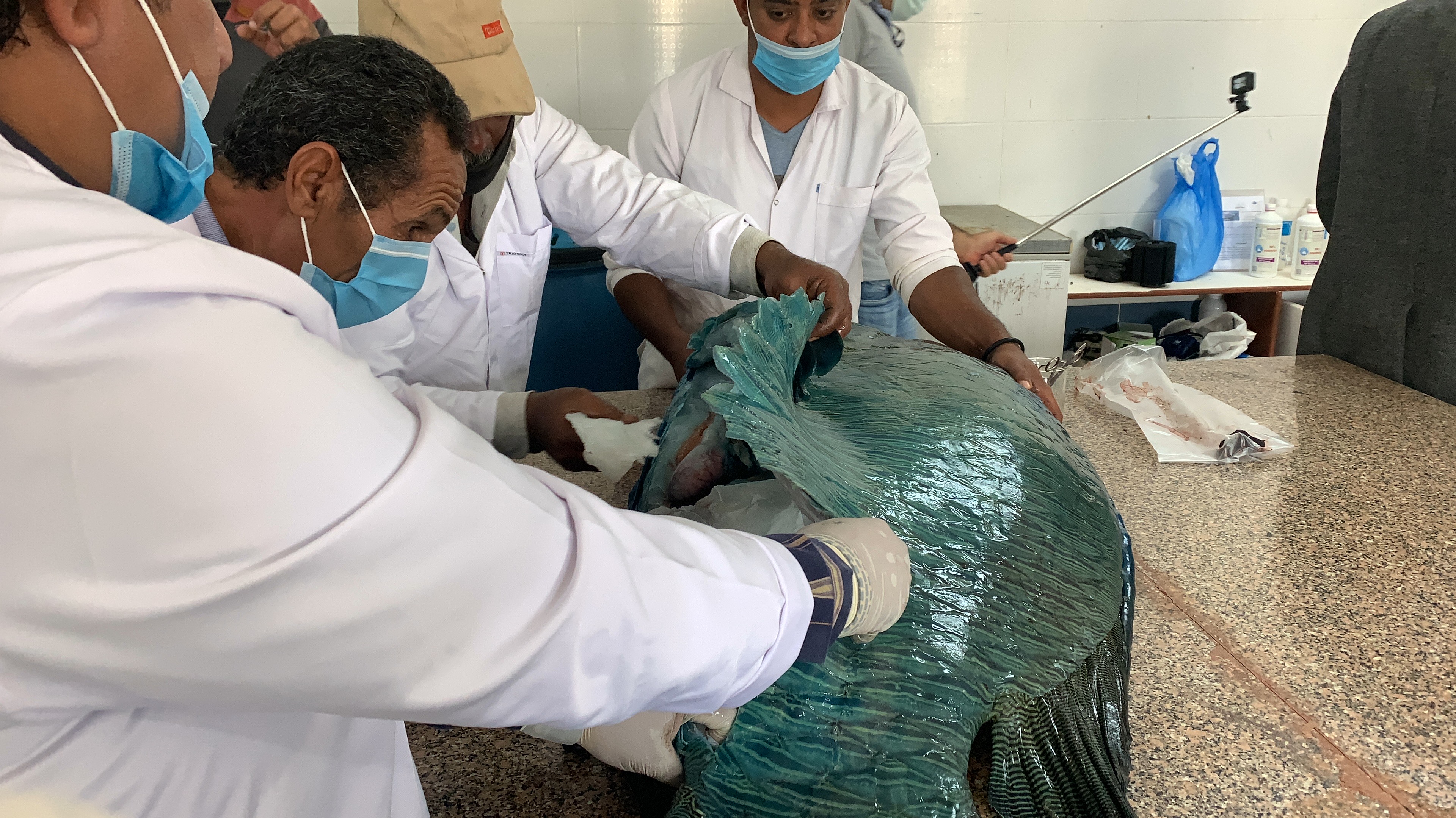 أعمال التحنيط