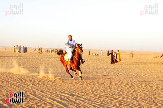 المرماح_1 المرماح_1