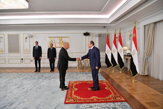 الرئيس السيسى وهانى أبو ريدة
