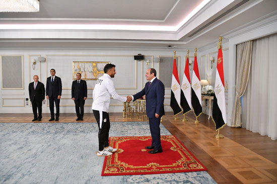 الرئيس عبد الفتاح السيسى وتريزيجيه