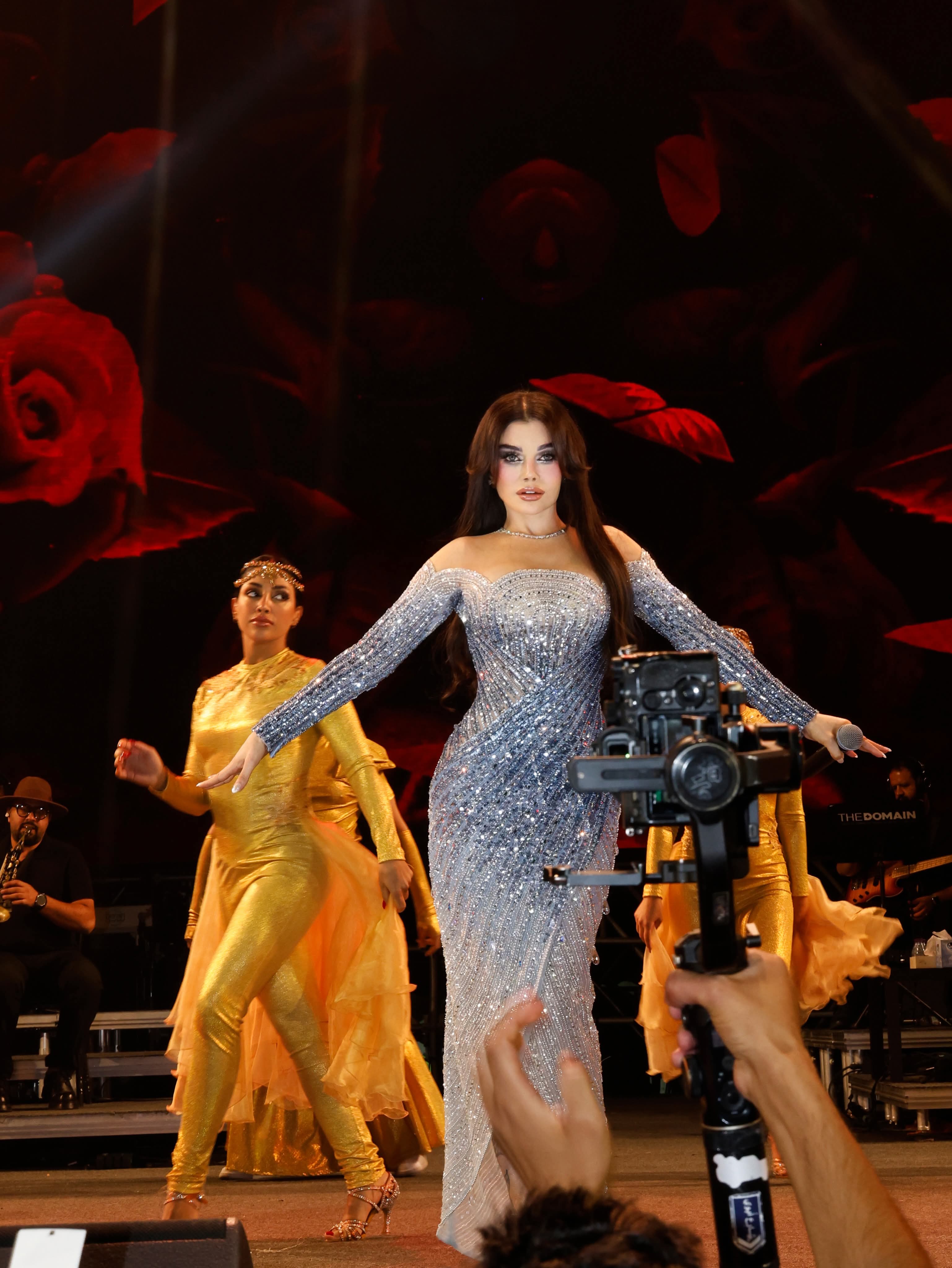 الفنانة هيفاء وهبي