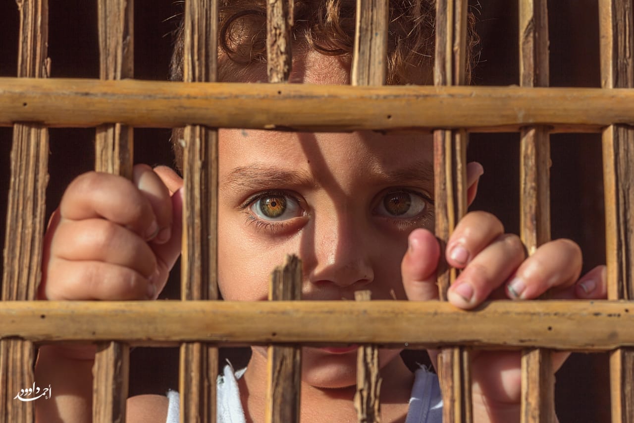 صورة من تصوير أحمد داوود