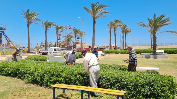 الاهتمام بالمسطحات الخضراء