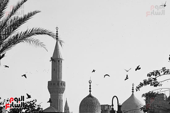 مآذن الأزهر والحسين (1)