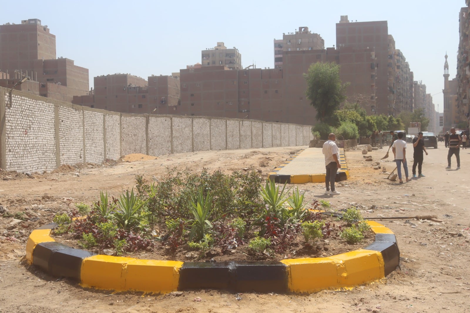 تشجير المنطقة
