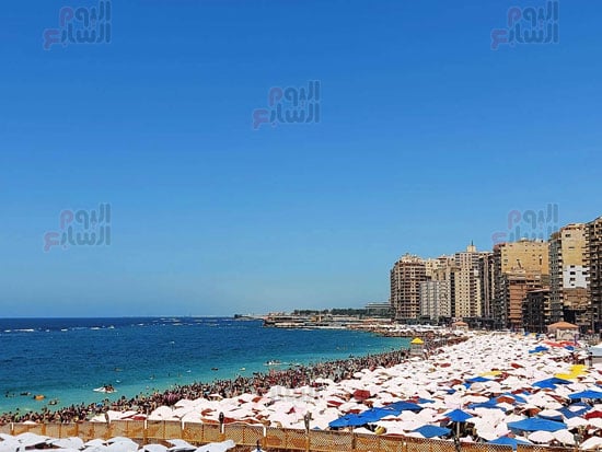 الشواطئ-كامل-العدد