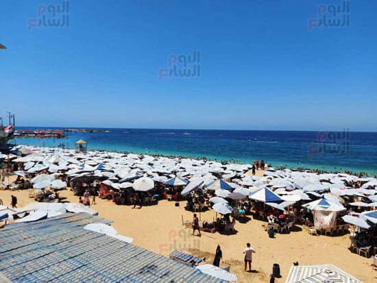 شاطئ-جزيرة-الذهب