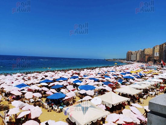 ارتفاع-نسب-الاشغال-