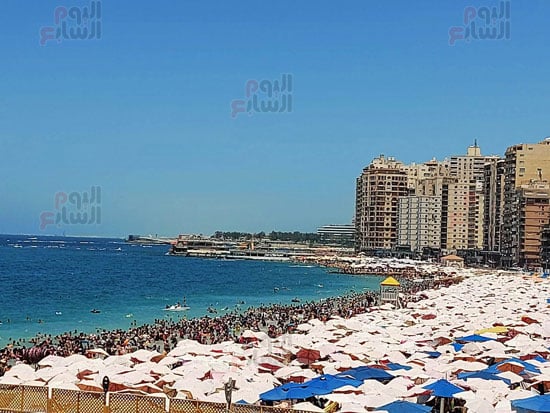 كامل-العدد