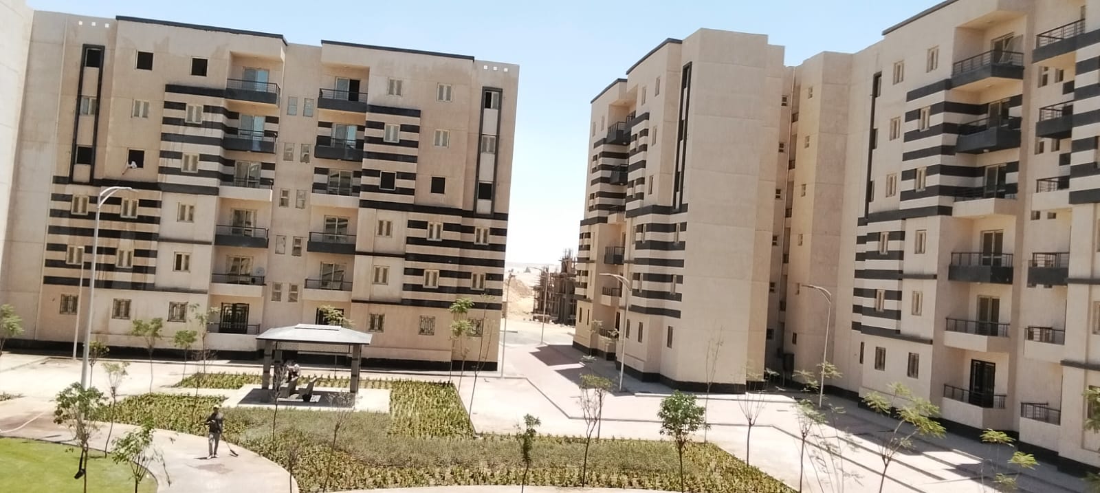 مشروع زراعة الطريق