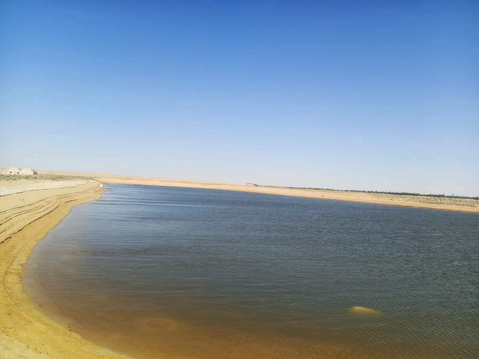 برك الصرف الزراعى بالفرافرة