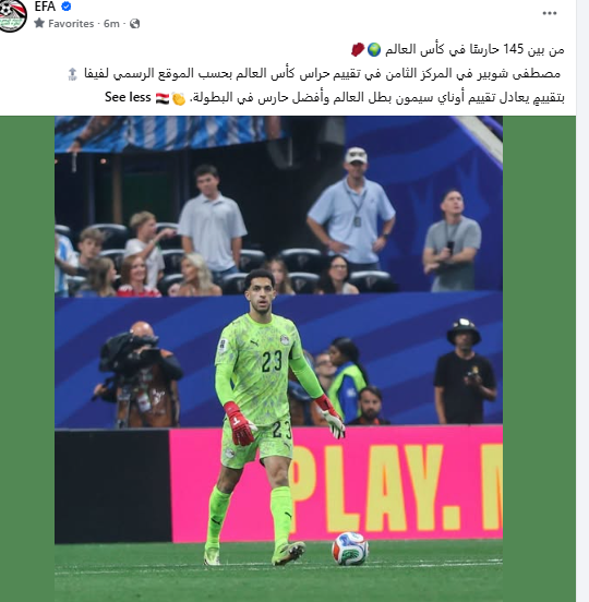 مصطفى شوبير