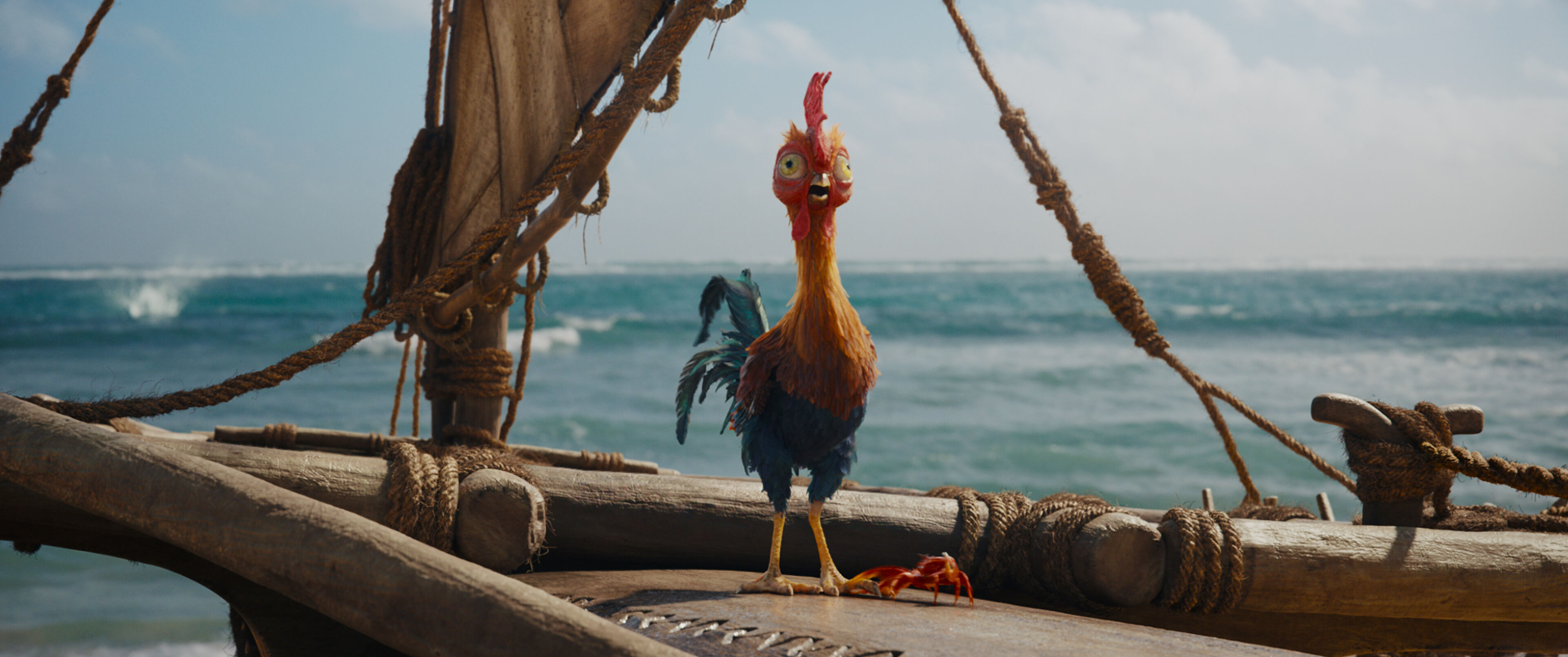 فيلم moana (8)