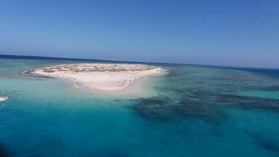 جزيرة شواريت