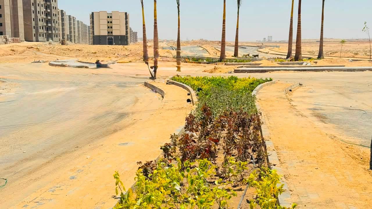 الاهتمام بالمسحات الخضراء عند التخطيط