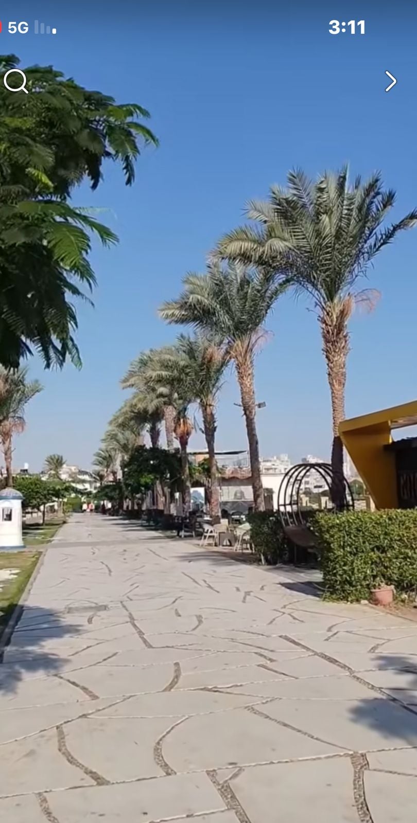 جانب من المتنزهات 
