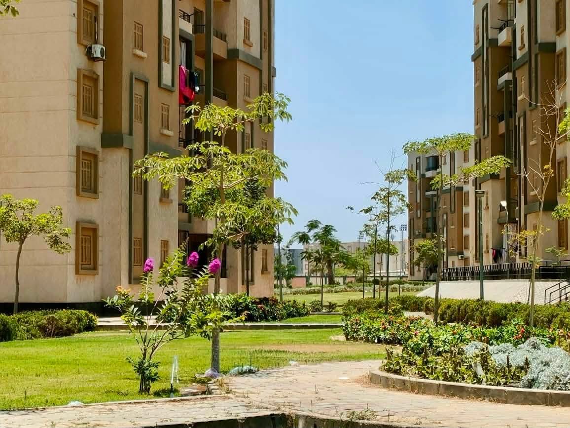 الاهتمام بتنسيق موقع العمارات