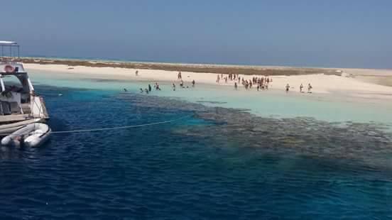 السياحة على شواريت