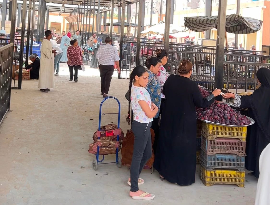 السوق الحضاري بنجع حمادي
