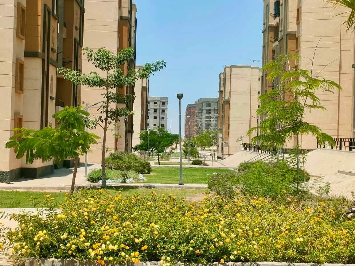 جمال المشهد بين العمائر